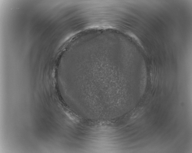 X0000061761064200512161737