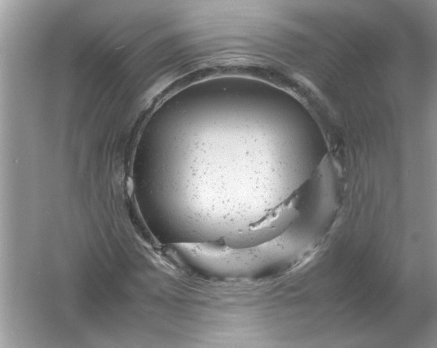 X0000061761065200512161737