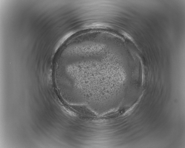 X0000061761066200512161737