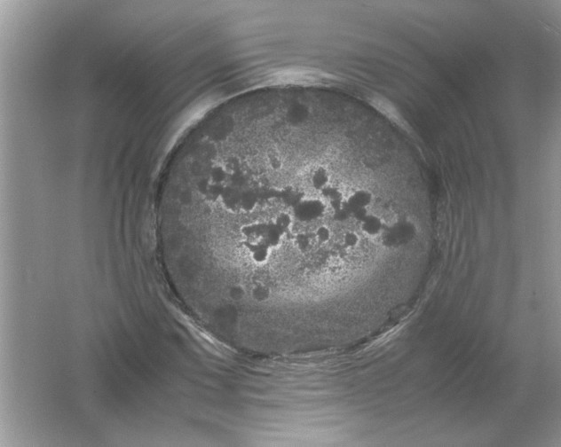 X0000061761067200512161737