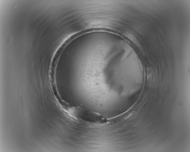 X0000061761068200512161737