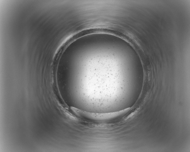 X0000061761069200512161737