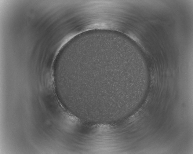 X0000061761070200512161737