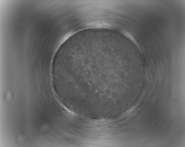 X0000061761071200512161737