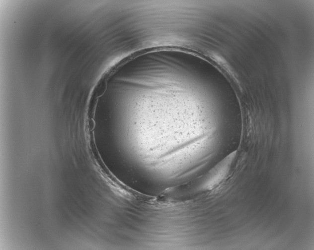 X0000061761072200512161737