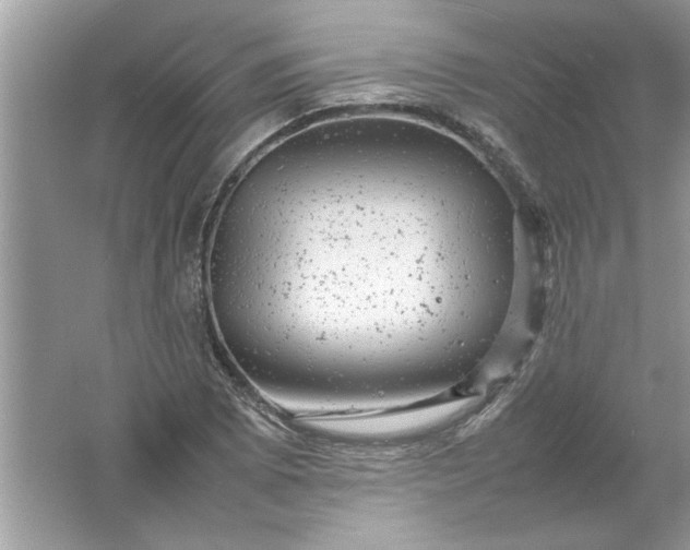 X0000061761073200512161737