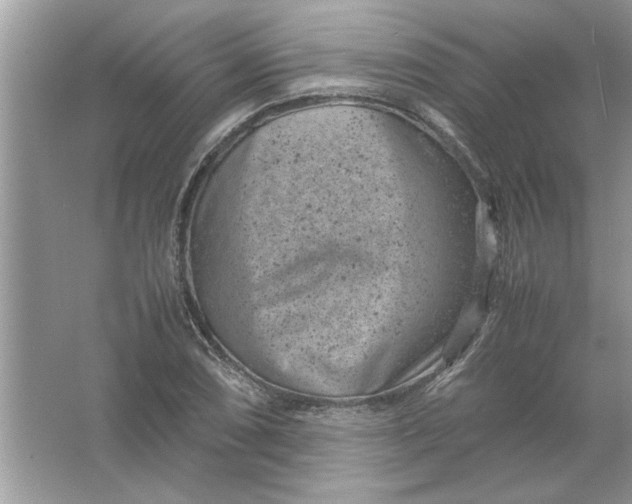 X0000061761074200512161737