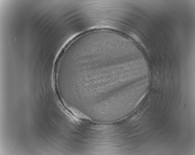 X0000061761076200512161737