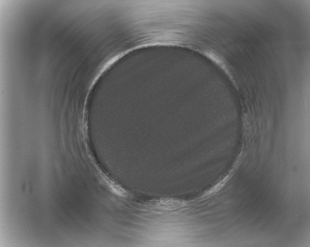 X0000061761077200512161737