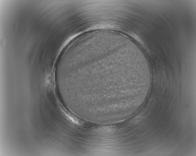 X0000061761078200512161737