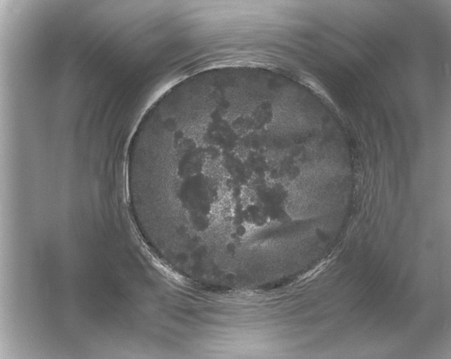 X0000061761079200512161737