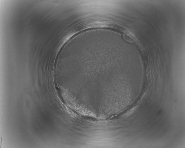 X0000061761081200512161737