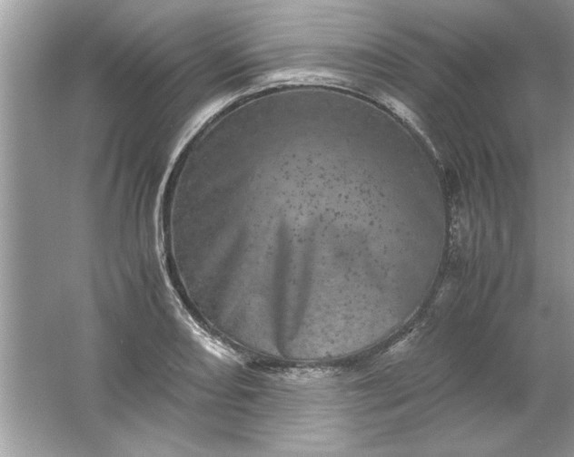 X0000061761082200512161737