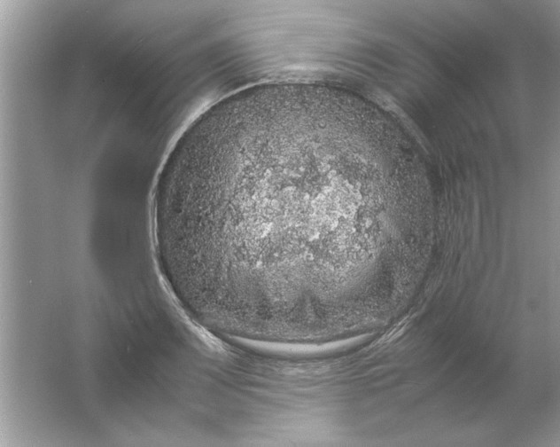 X0000061761083200512161737