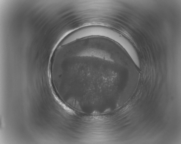 X0000061761084200512161737