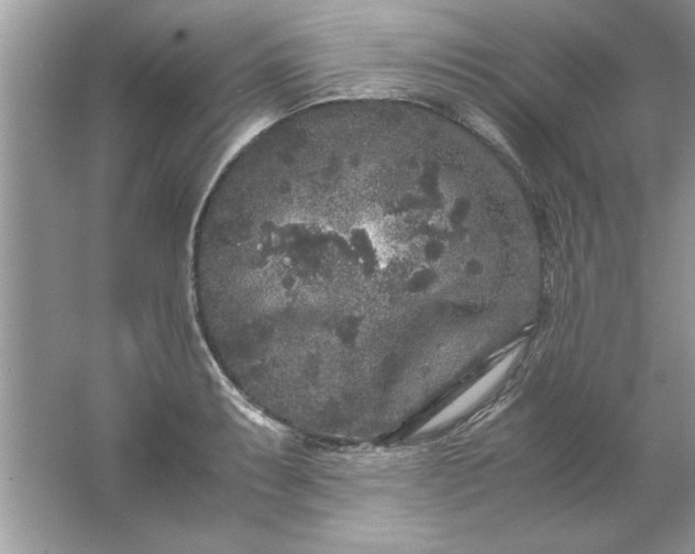 X0000061761087200512161737