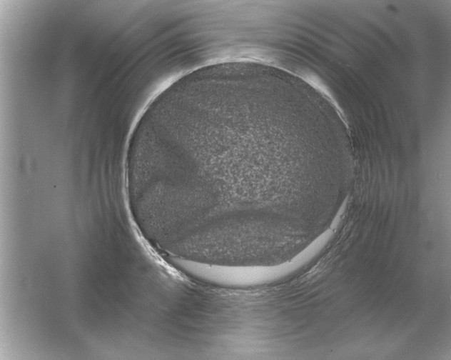 X0000061761088200512161737