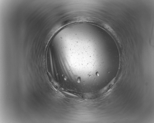 X0000061761089200512161737