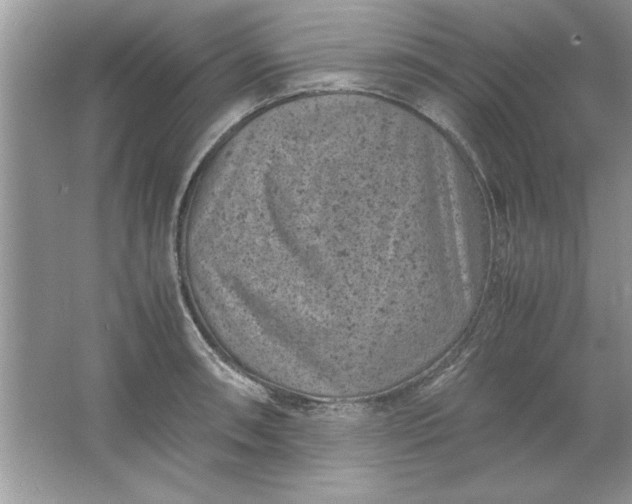 X0000061761090200512161737