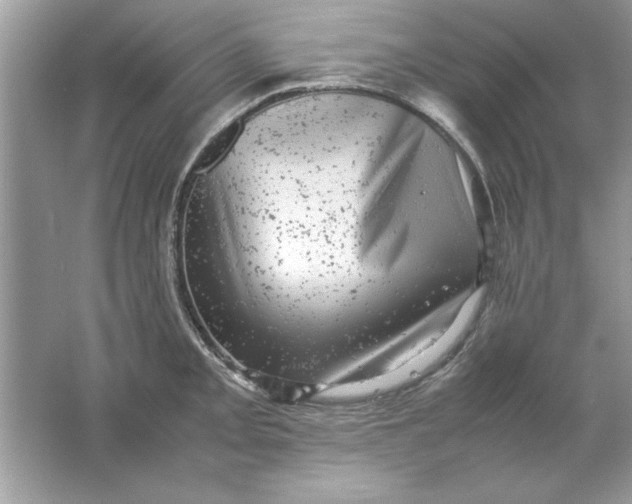 X0000061761093200512161737