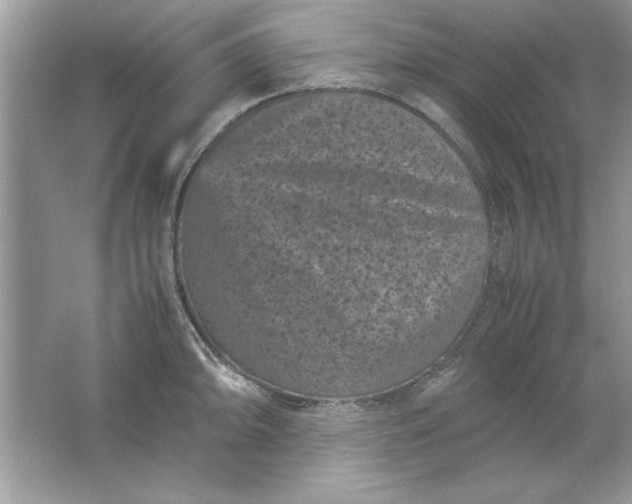 X0000061761094200512161737