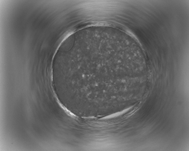 X0000061761095200512161737