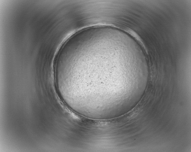 X0000061761096200512161737