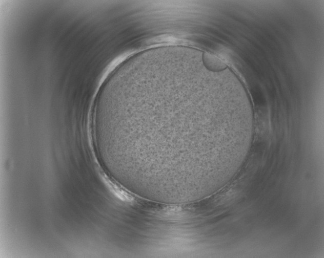 X0000061761098200512161737