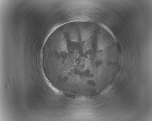 X0000061761099200512161737