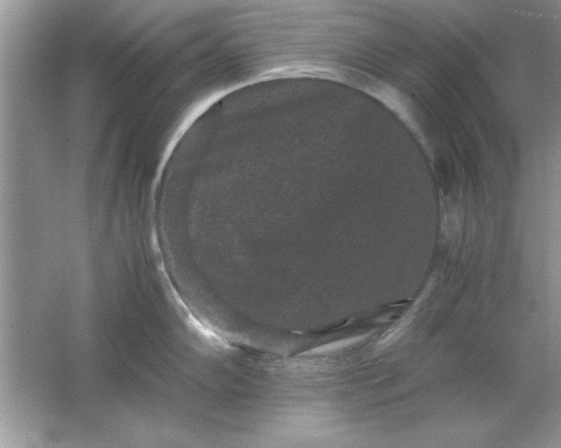 X0000061761102200512161737