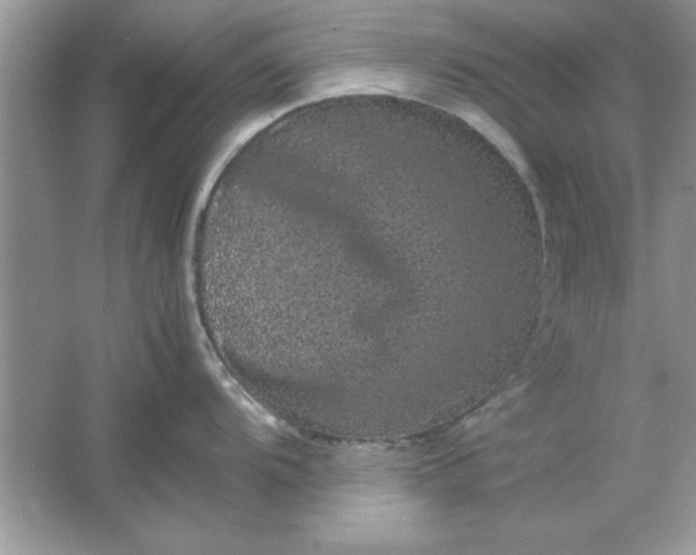 X0000061761104200512161737