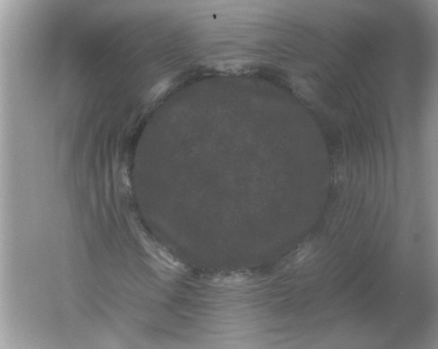 X0000061761106200512161736