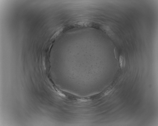 X0000061761107200512161736