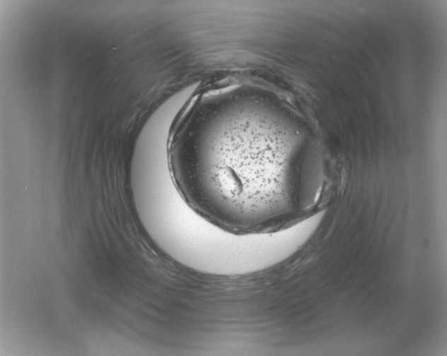 X0000061761108200512161736