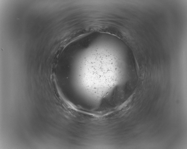 X0000061761109200512161736