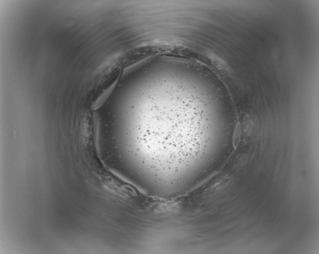 X0000061761110200512161736