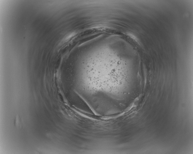 X0000061761111200512161736