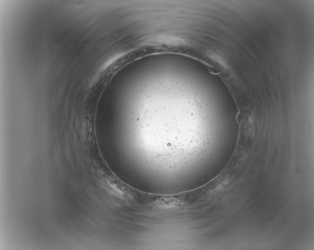 X0000061761112200512161736