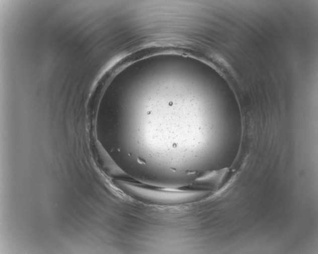 X0000061761114200512161736