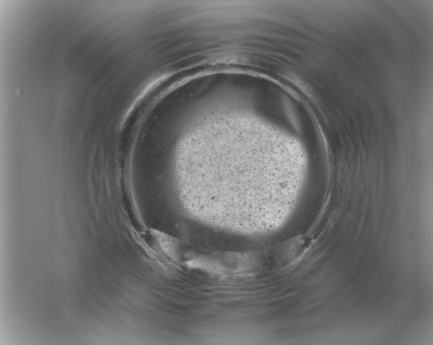 X0000061761115200512161736