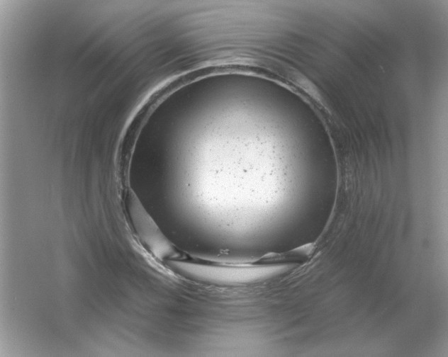 X0000061761116200512161736