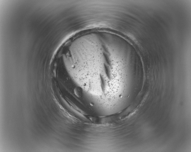 X0000061761118200512161736