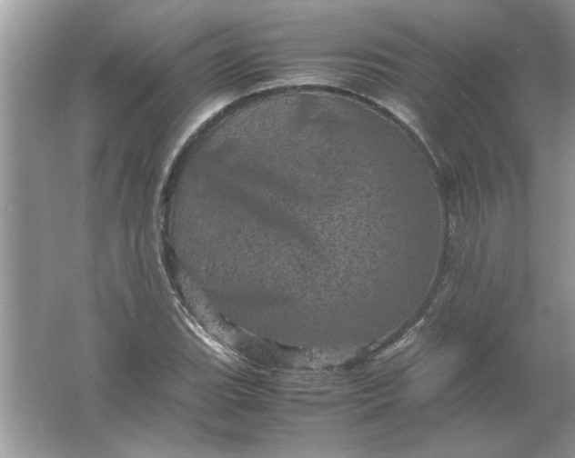 X0000061761119200512161736