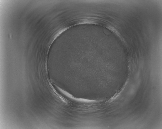 X0000061761121200512161736