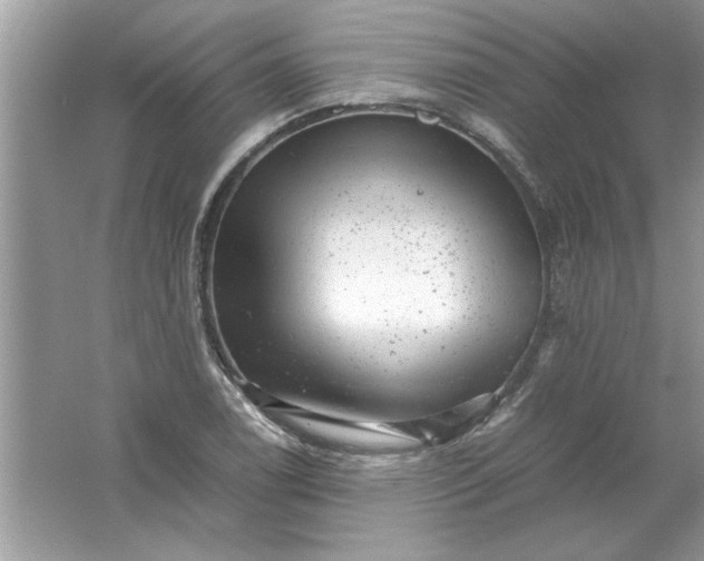 X0000061761122200512161736