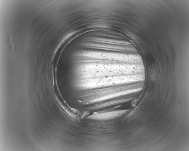 X0000061761123200512161736