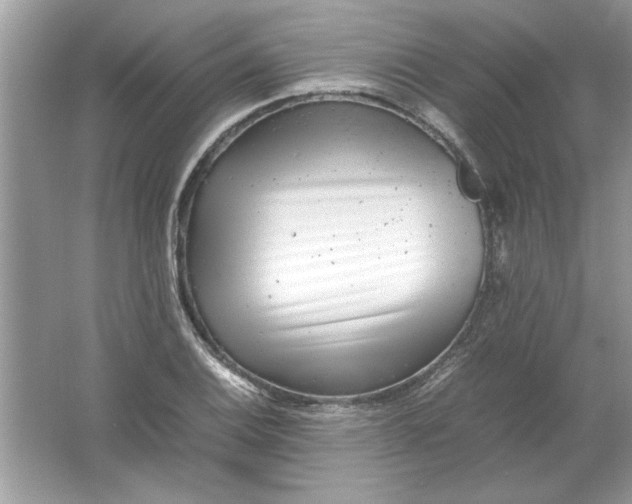 X0000061761124200512161736