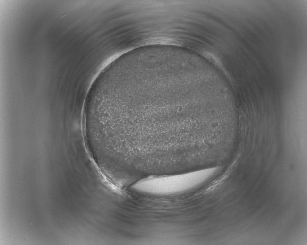 X0000061761125200512161736