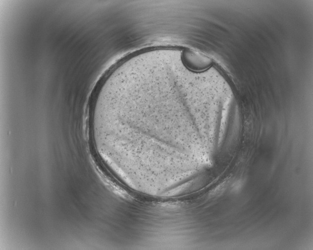 X0000061761126200512161736