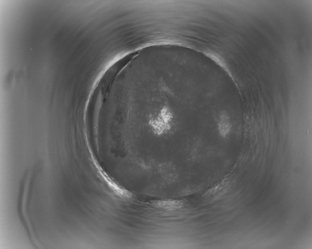 X0000061761127200512161736